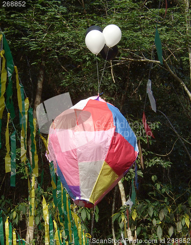 Image of Colored and ecological balloon