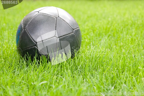 Image of Soccer Ball