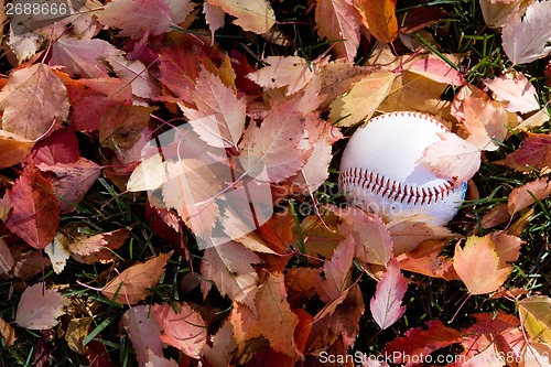 Image of Baseball in fall season