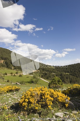 Image of Summer in the mountains