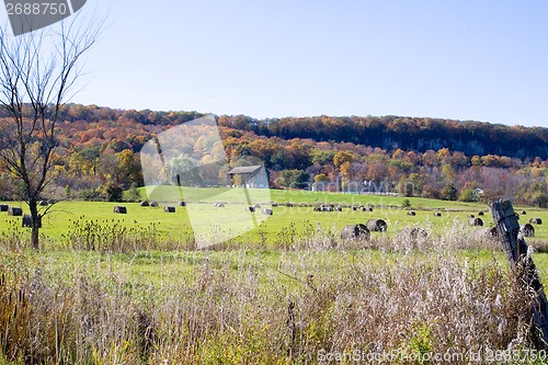 Image of Autumn Scenery