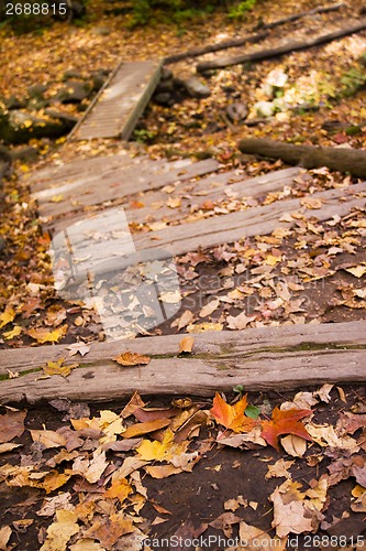 Image of Fall Colors on the Trail