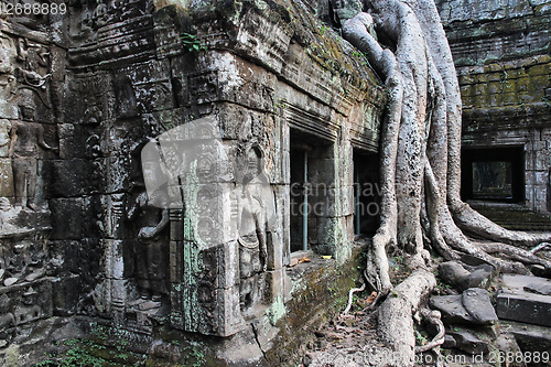 Image of Ta Prohm