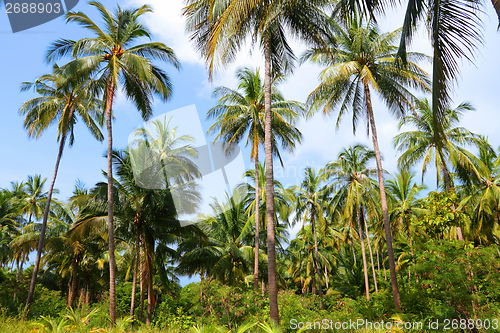 Image of Ko Tao