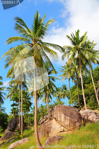 Image of Koh Tao