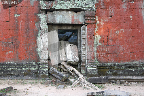 Image of Cambodia - Ta Prohm