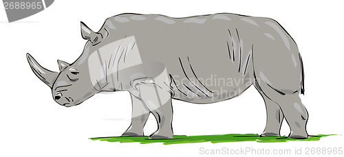 Image of rhino