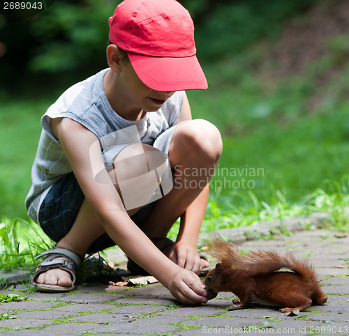 Image of Little boy and squirrel