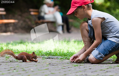 Image of Little boy and squirrel