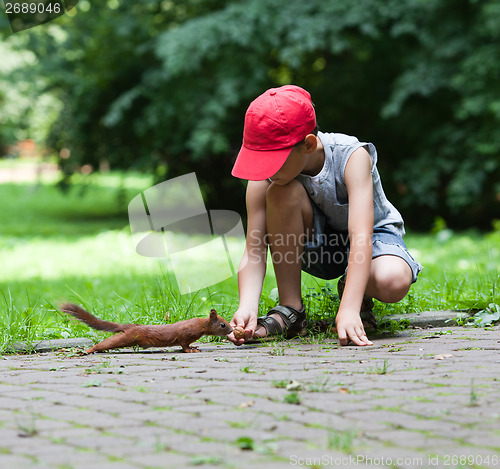 Image of Little boy and squirrel