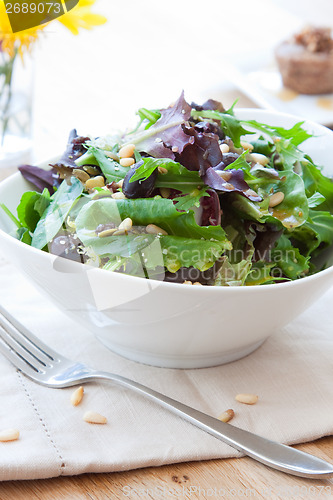 Image of Garden greens salad