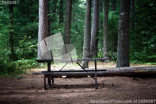 Image of Picnic table in the wilderness