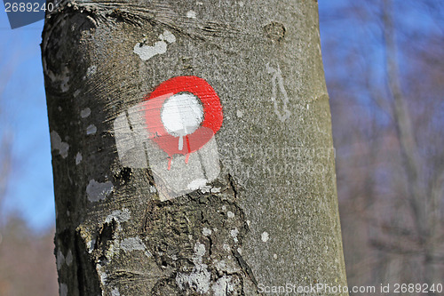 Image of Hiking post pointing on tree