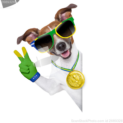 Image of brazil  fifa world cup  dog