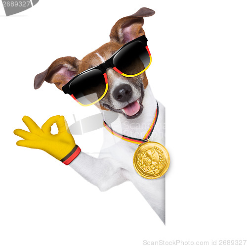 Image of brazil  fifa world cup  dog