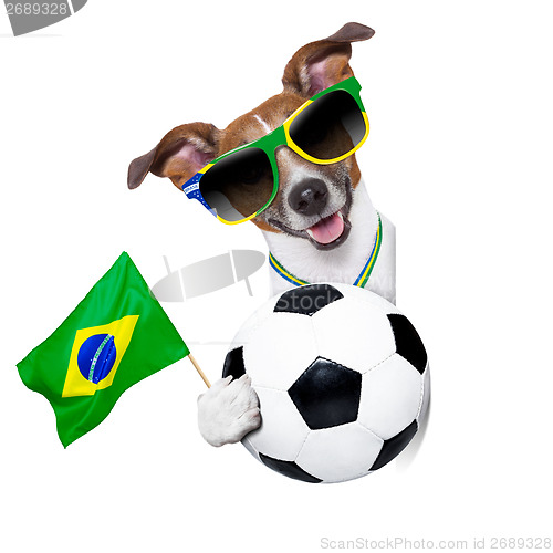 Image of brazil  fifa world cup  dog