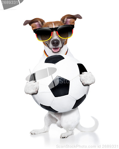 Image of brazil  fifa world cup  dog