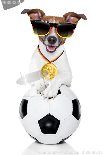 Image of brazil  fifa world cup  dog