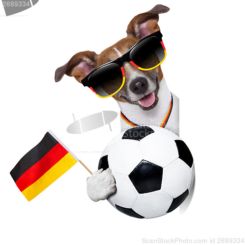 Image of brazil  fifa world cup  dog