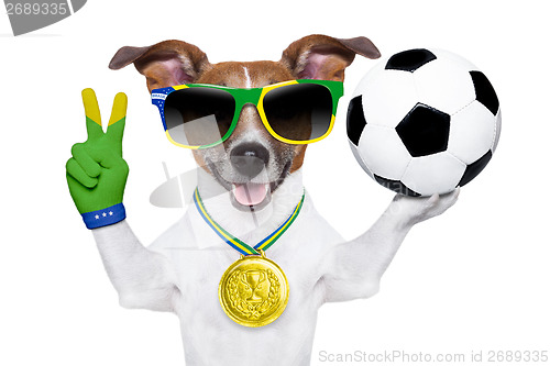 Image of brazil  fifa world cup  dog