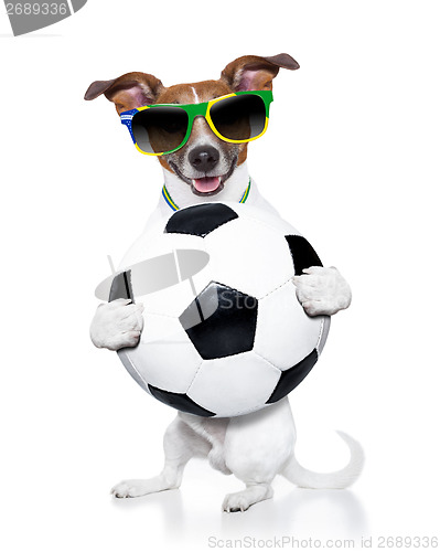 Image of brazil  fifa world cup  dog