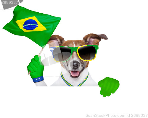 Image of brazil  fifa world cup  dog