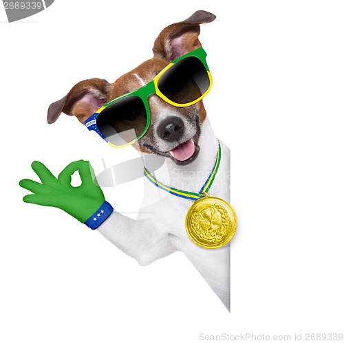 Image of brazil  fifa world cup  dog