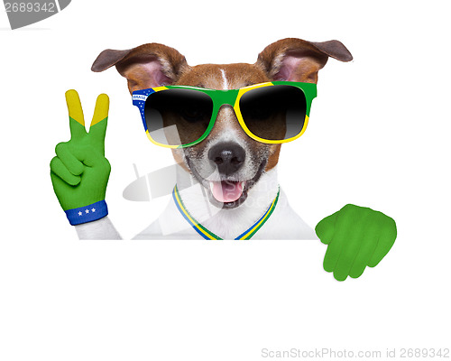 Image of brazil  fifa world cup  dog