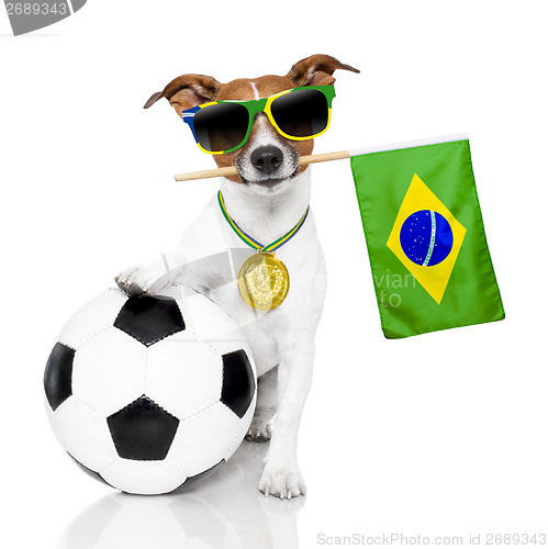 Image of dog as soccer with medal and  flag