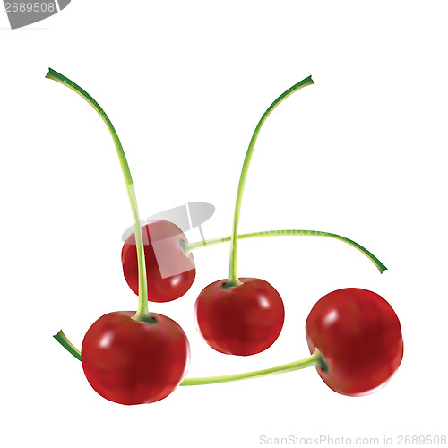 Image of Four appetizing mature cherries on a pink background