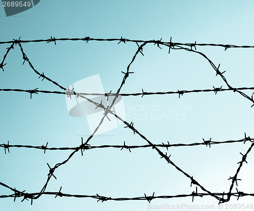 Image of Barbed wire