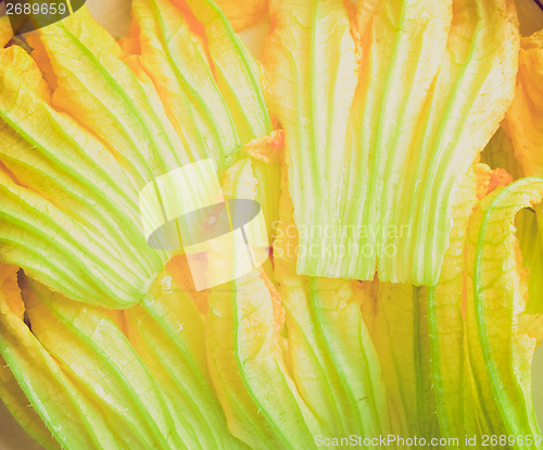 Image of Retro look Courgette flowers