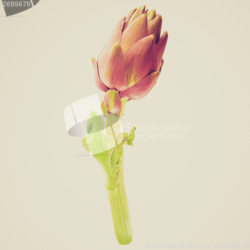 Image of Retro look Artichoke isolated