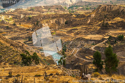 Image of Colca Canyon View