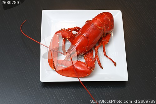 Image of Boiled Atlantic Lobster on white plate