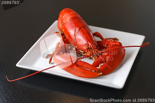 Image of Boiled Atlantic Lobster on white plate