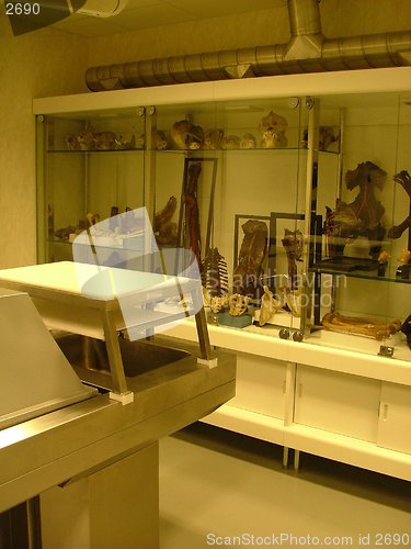 Image of autopsy room in a medical faculty