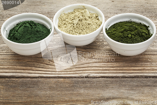 Image of kelp, spirulina and chlorella 