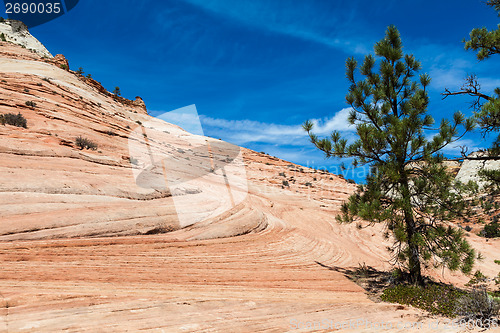 Image of Zion National Park