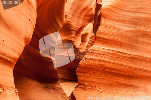 Image of Antelope Canyon