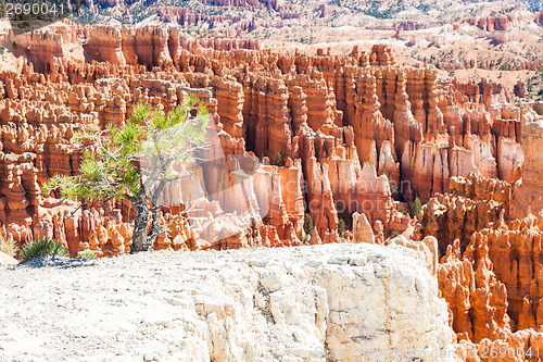 Image of Bryce Canyon