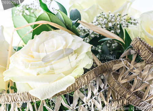 Image of White rose