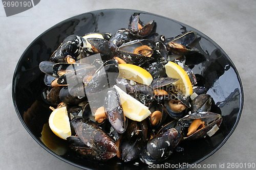 Image of Moules a la Marinière