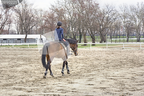 Image of Horsewoman