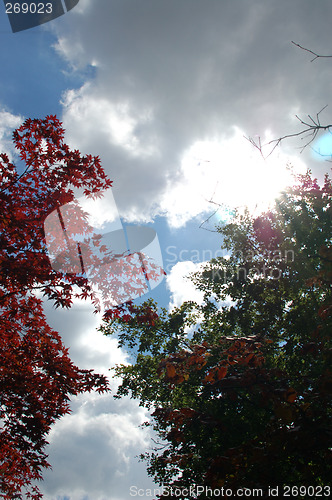 Image of The sky