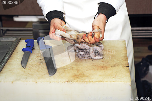 Image of Cleaning octopus