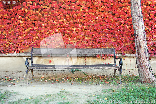 Image of Bench and red leaves