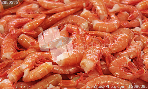 Image of Shrimp tails