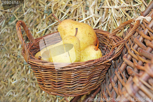 Image of Pears in basket