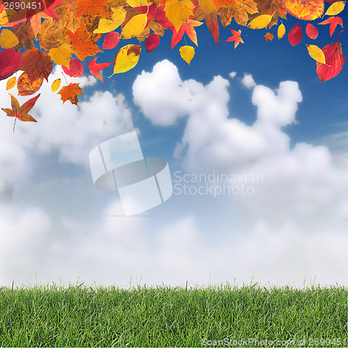 Image of Autumn background